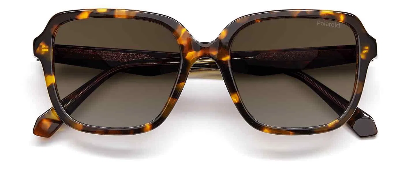 Polaroid Core Polaroid4095 Sunglasses - view 12